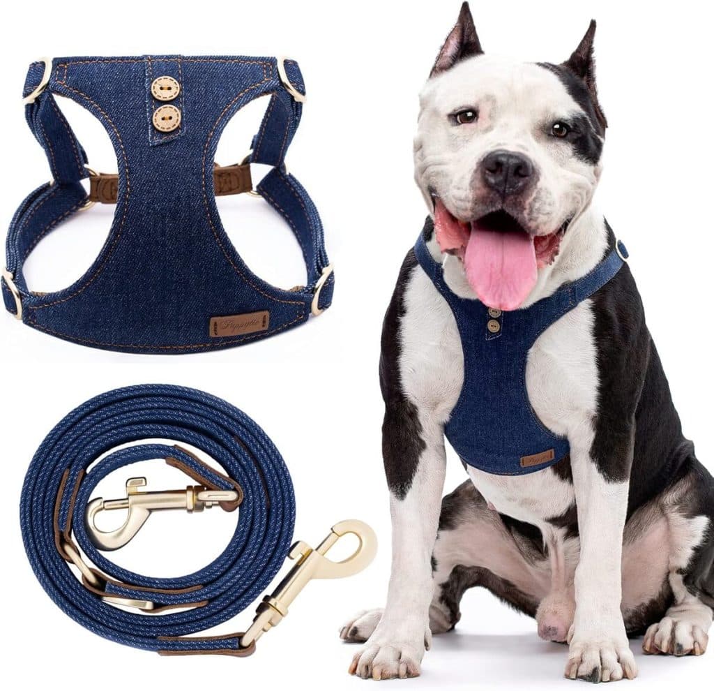 Test : harnais anti-traction et laisse multifonction pour chien taille L