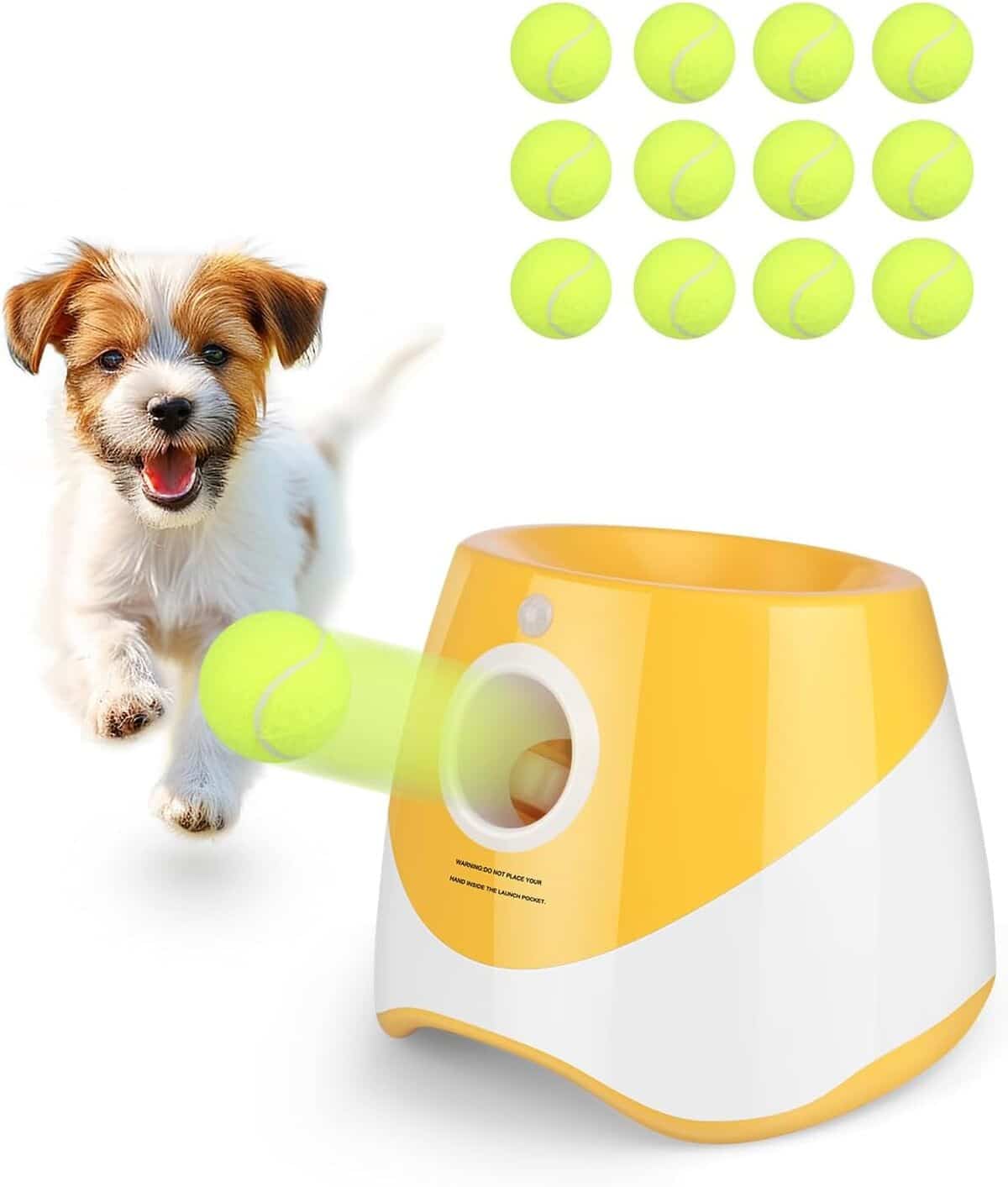 Test : lanceur de balle automatique pour chiens avec 12 balles de tennis