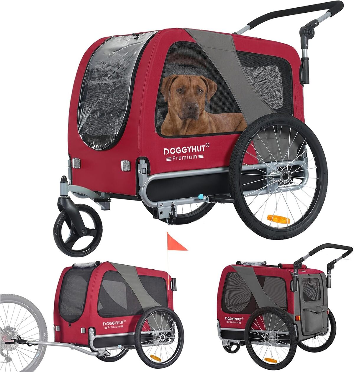 Test : remorque vélo Doggyhut Premium L pour chiens jusqu'à 35 kg