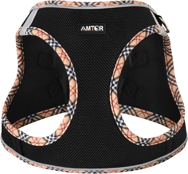 AMTOR Harnais pour chien avec laisse, harnais réfléchissant réglable avec gilet rembourré pour chiens et chats de taille XS, S, M, L (noir/jaune)