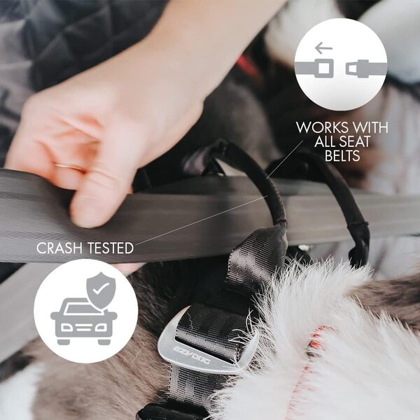 EzyDog Harnais de sécurité Drive pour Chien – Harnais Voiture testé en Crash-Test avec Attache Ceinture, Ajustable (L, Noir)