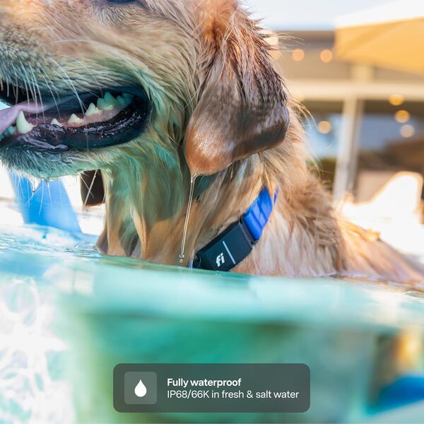 Fi Series 3+ Collier intelligent pour chien – Traqueur GPS pour chien, moniteur d'activité et nouveau moniteur de fitness, étanche, lumière LED, alertes d'évasion, couverture nationale [abonnement
