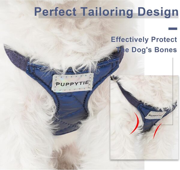 Harnais anti-traction pour chien avec laisse multifonction, doux, réglable, anti-étouffement, anti-fuite, pour chiens de taille moyenne, bleu saphir brillant, taille M