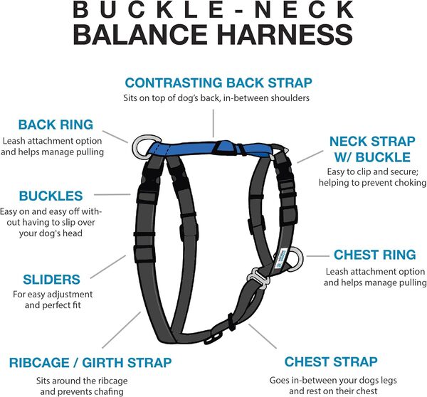 Blue-9 Harnais d’équilibre à col Boucle, entièrement Personnalisable, Harnais Anti-Traction, idéal pour Le Dressage et l’obéissance du Chien, fabriqué aux États-Unis, Bleu, Taille M/L