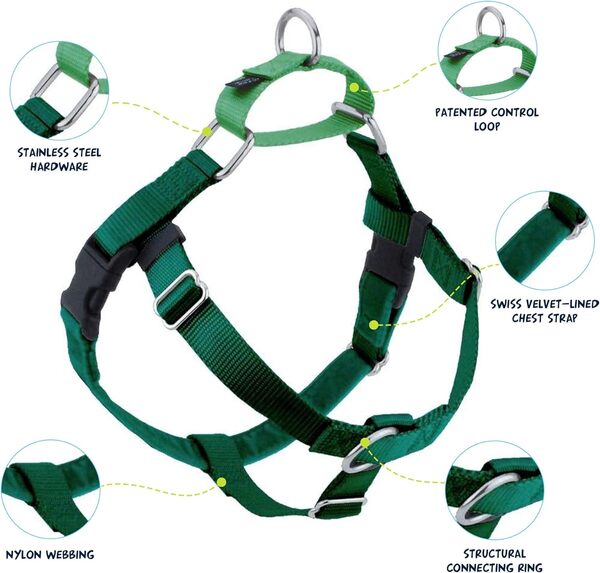 2 Hounds Design Freedom Ensemble de Harnais réglable Anti-Traction et Laisse pour Chien de Petite, Moyenne et Grande Taille, pour Promenade Facile et contrôle Confortable, 2,5 cm, M, Vert