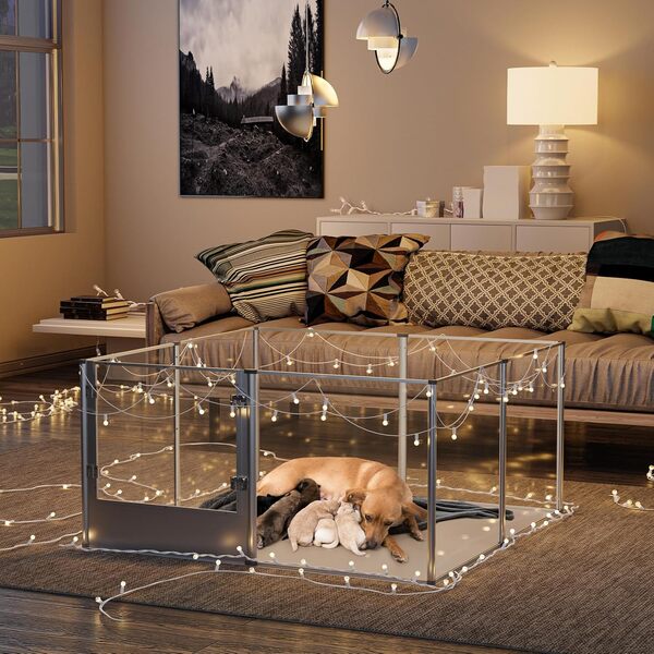 Parc Chien Intérieur Grande Taille: Caisse de Mise Bas pour Chiens Hauteur 80cm - Enclos Grand Chien en Acrylique Hauteur 132x132cm