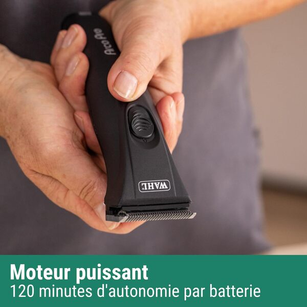Agrarzone Edition Moser Arco Pro Tondeuse pour chiens 2 batterie - Kit de peignes amovibles - Tondeuse chien pour animaux à haute performances