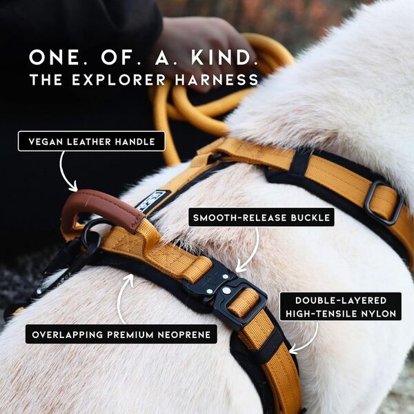 MADE TO ROAM Premium Explorer Harnais pour chien en forme de Y avec nylon durable réglable, rembourrage doux, boucles en métal et poignée en cuir pour chiens de petite, moyenne et grande taille