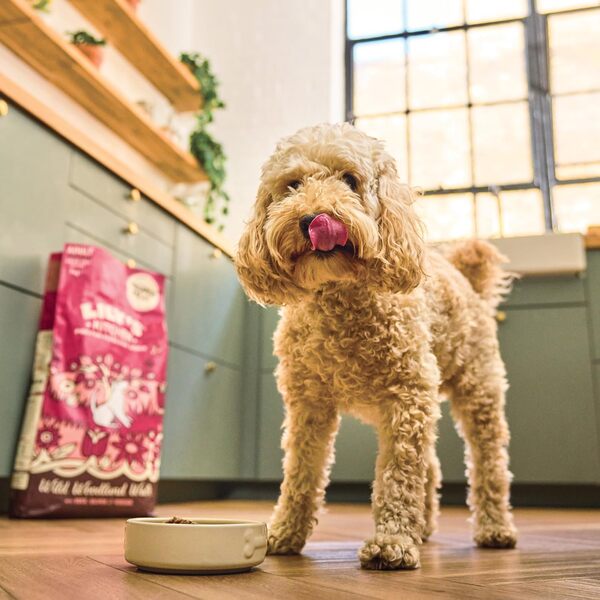 Lily’s Kitchen Fabriqué à partir d’ingrédients naturels Adulte Aliments secs pour chiens Saumon et chevreuil Recette sans céréales 12kg