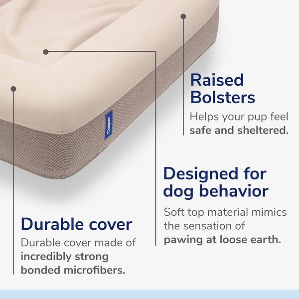Casper Panier pour Chien en Mousse à mémoire de Forme Sable Taille M