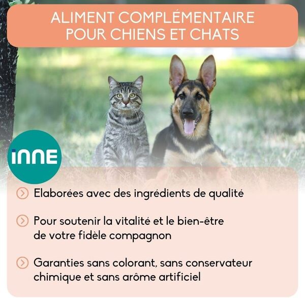 NUTRIVET - Aliment Complémentaire - Chiens & Chats - Huile de Saumon - Riche en Omegas 3 et 6 - Bidon 5L