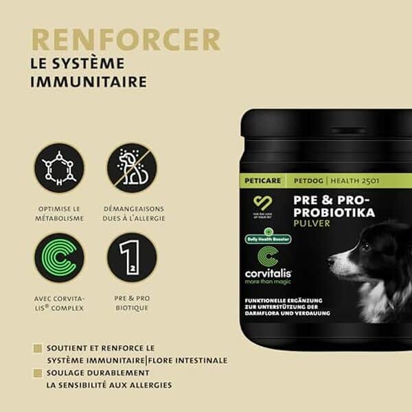 Découvrez comment Peticare améliore la santé intestinale de votre chien grâce à notre test détaillé du complément pour un bien-être optimal.