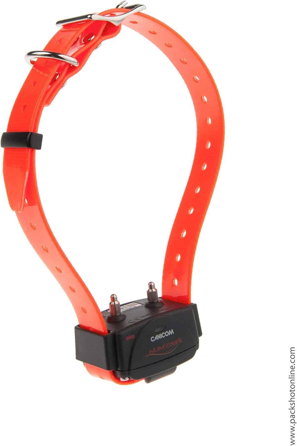 Avis sur le collier Canicom : dressage efficace pour chien