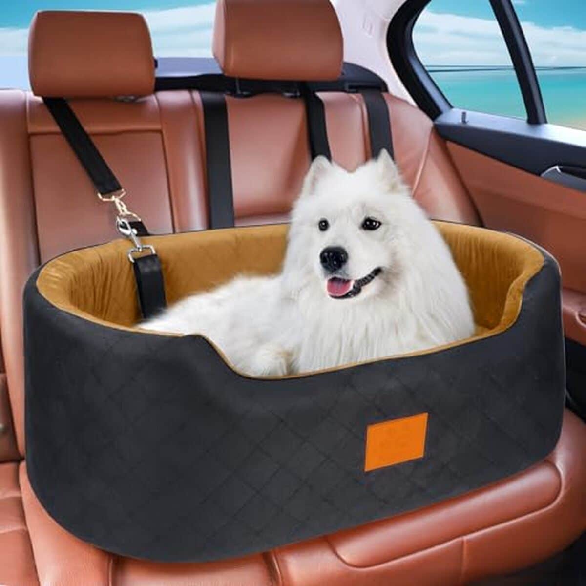 Essai : siège auto surélevé et lavable pour chien jusqu'à 25 kg