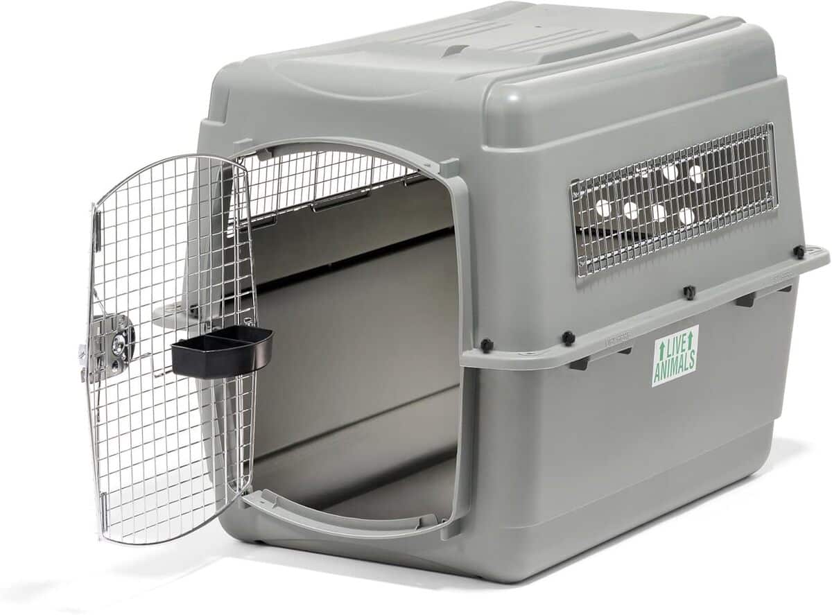 Test : beeztees Skykennel 4, caisse de transport robuste pour gros chien