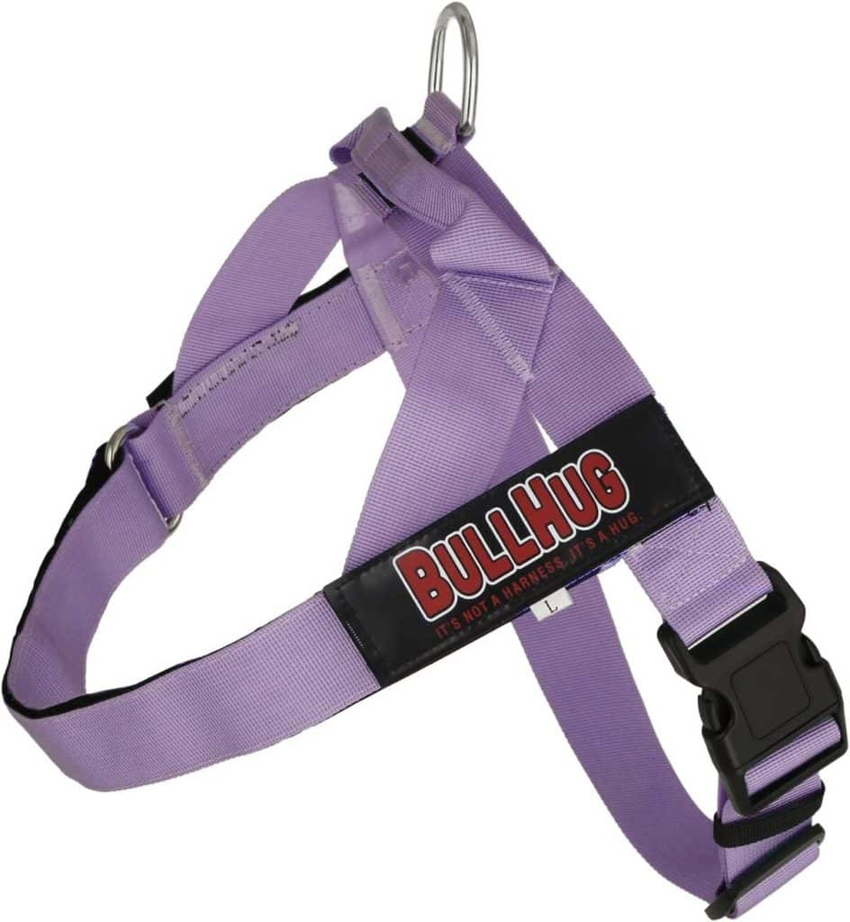 Test Bullhug harnais violet pour bouledogues et carlins