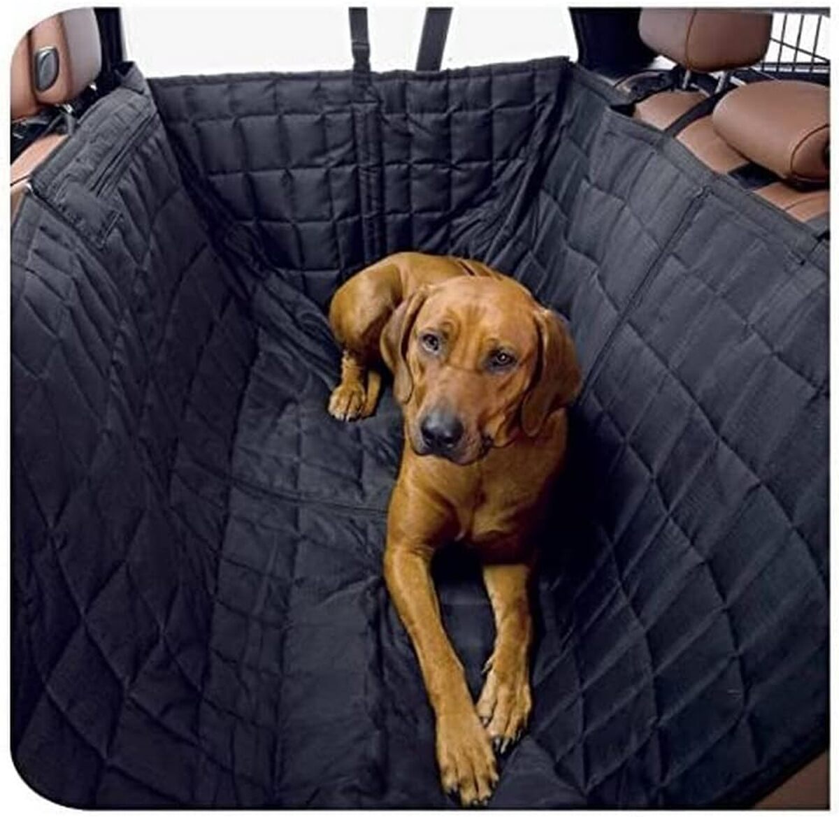Test de la housse de siège auto Kleinmetall Allside Comfort pour chiens