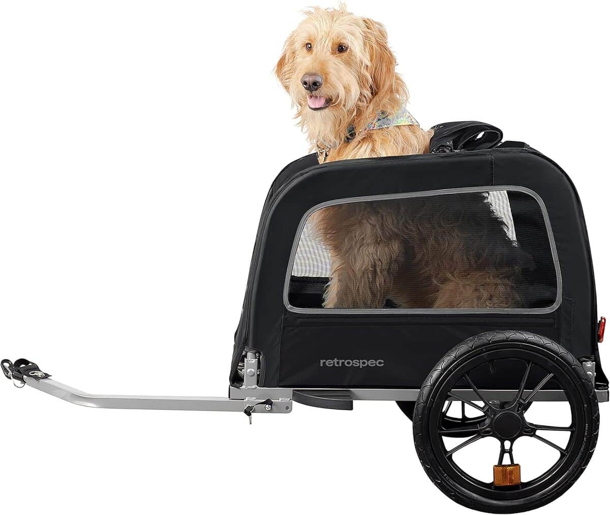 Test de la remorque de vélo Retrospec Rover Hauler 4333 pour chiens
