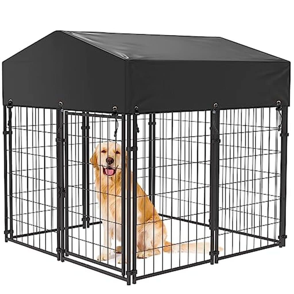 Test du chenil BingoPaw : enclos spacieux et résistant pour chien