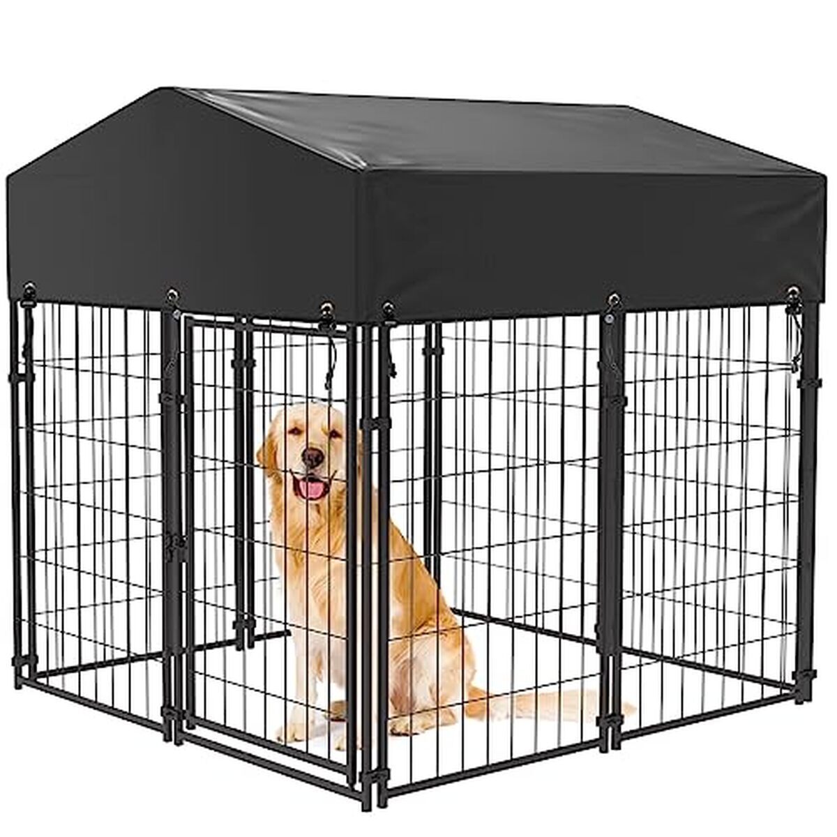 Test du chenil BingoPaw : enclos spacieux et résistant pour chien