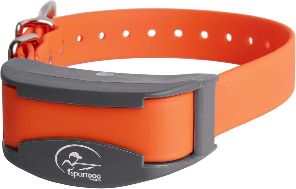 Test du collier d'entraînement SportDOG FieldTrainer 425X et SportHunter 825 : avis et comparaison