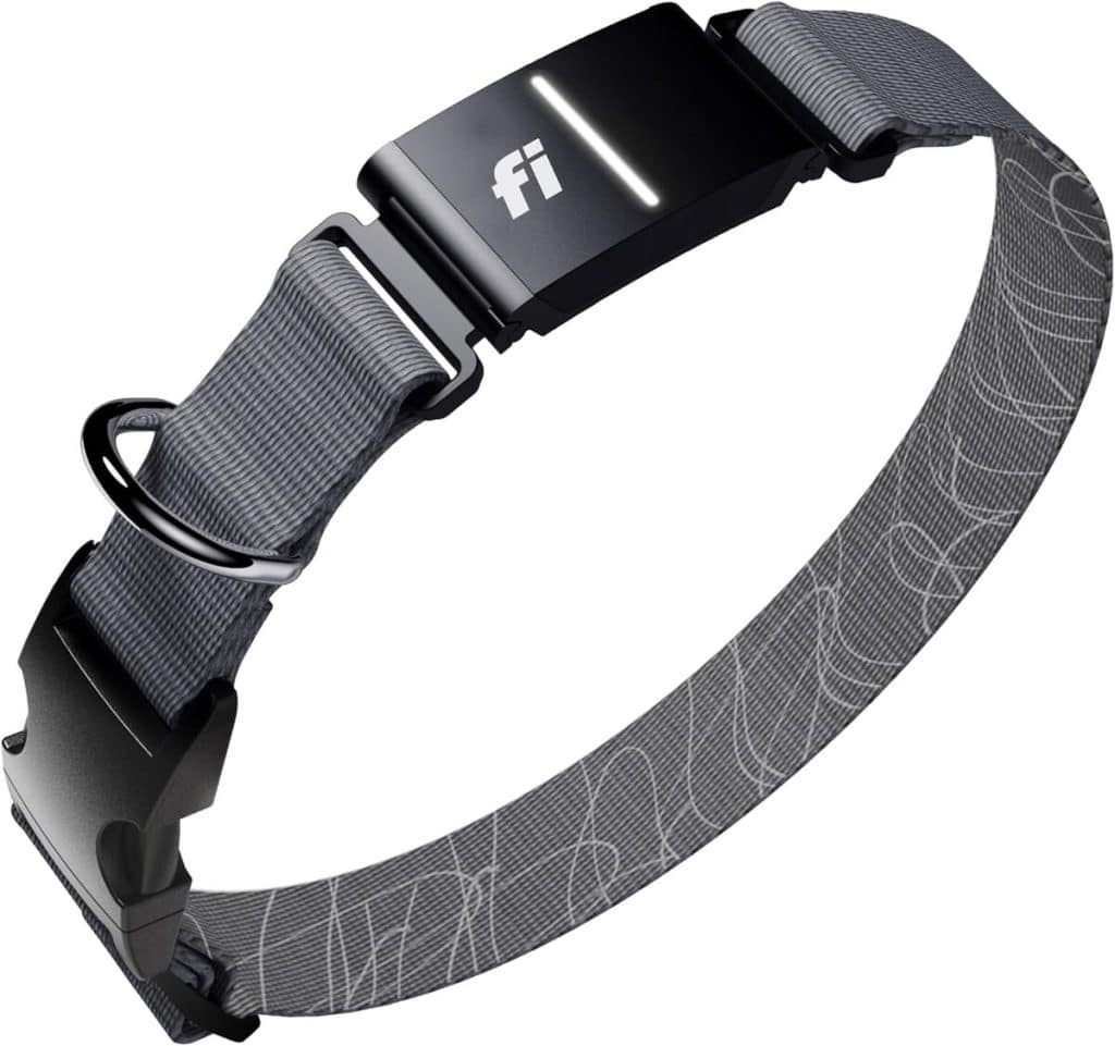 Test du collier intelligent Fi Series 3+ : traqueur GPS et moniteur d'activité pour chien