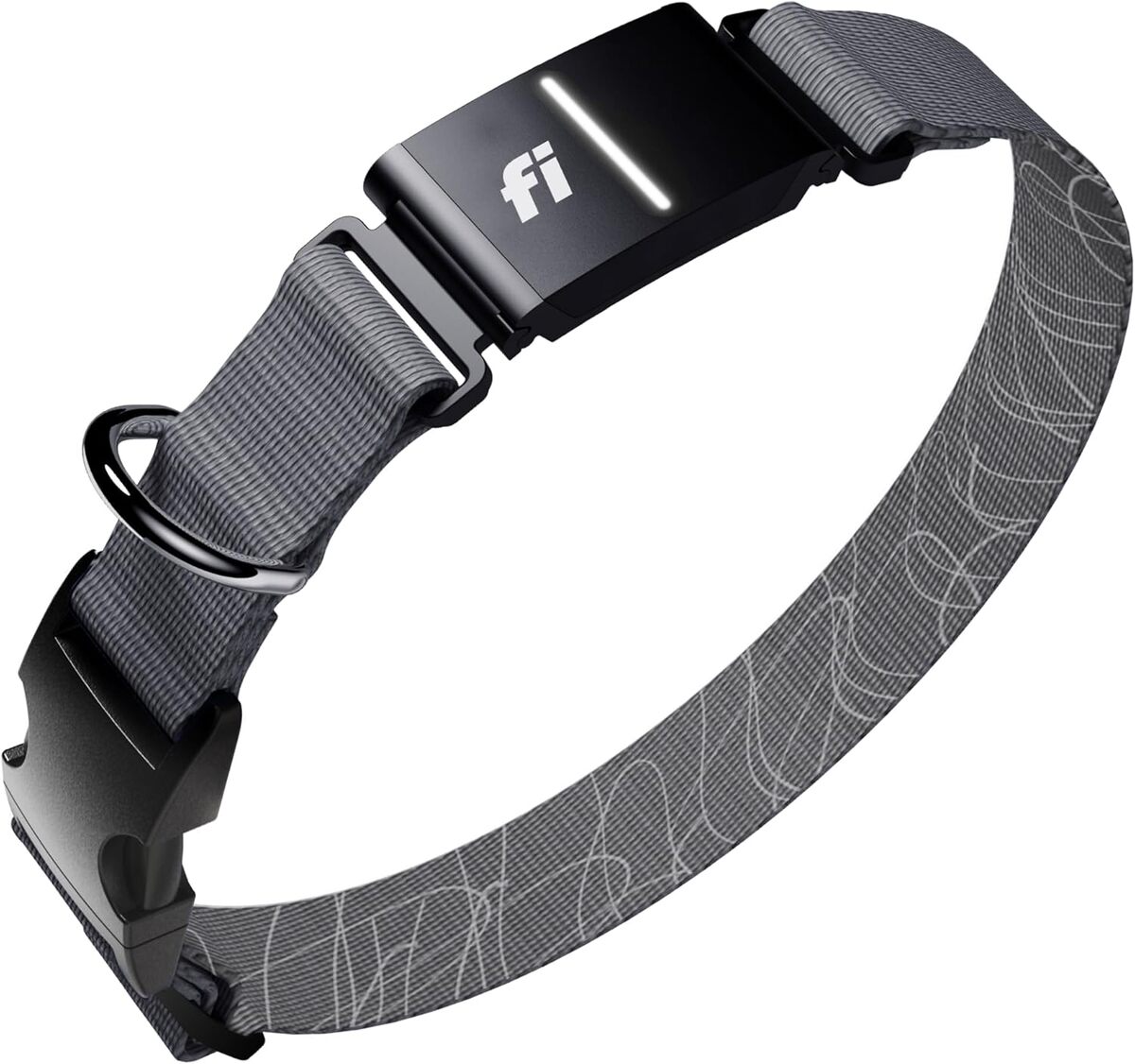 Test du collier intelligent Fi Series 3+ : traqueur GPS et moniteur d'activité pour chien