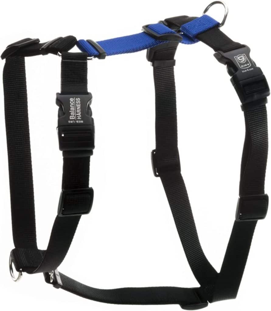 Test du harnais anti-traction Blue-9 pour dressage canin, taille M/L