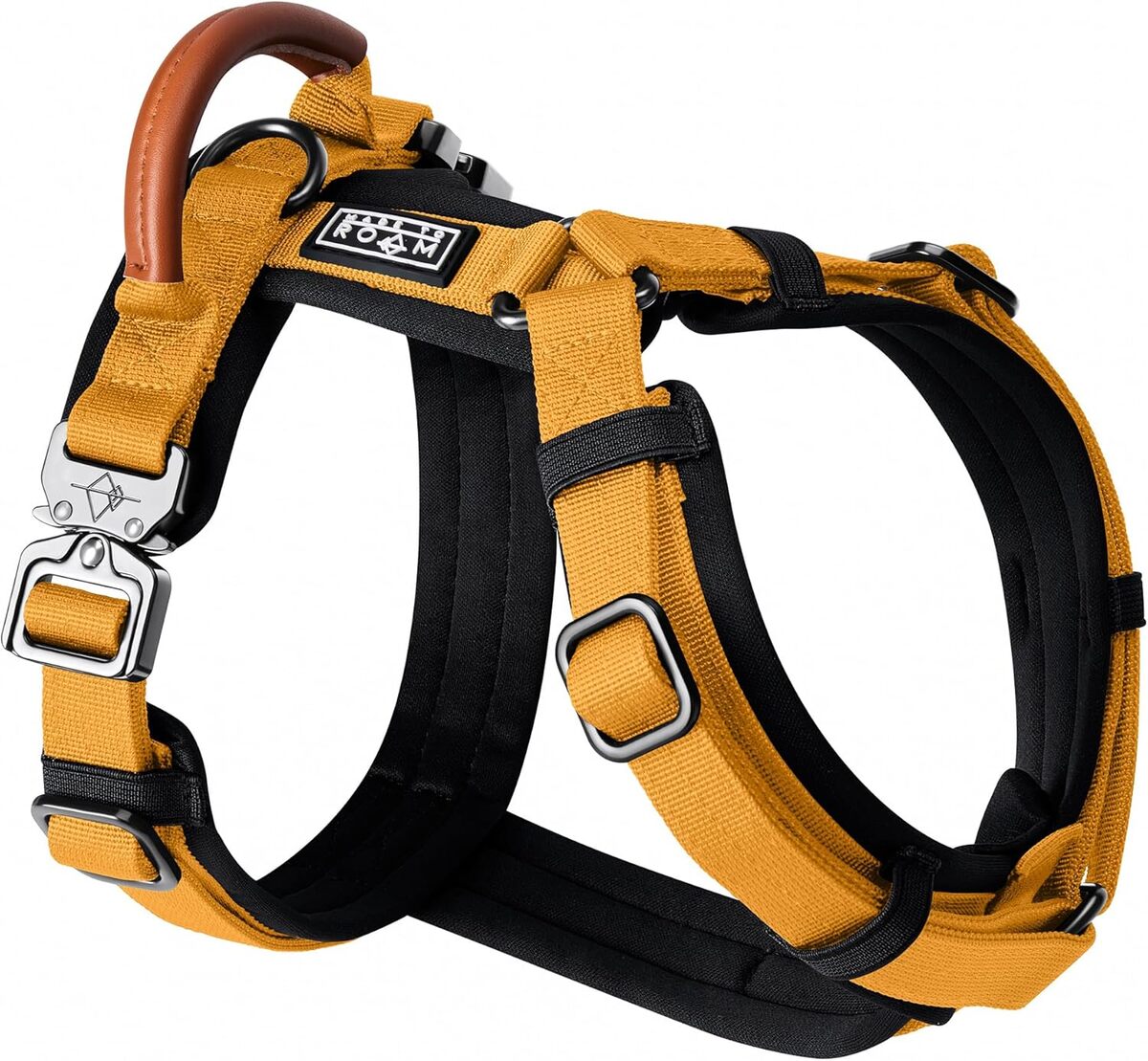 Test du harnais MADE TO ROAM Premium Explorer pour chien