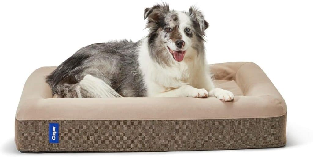 Test du panier pour chien en mousse Casper, taille M