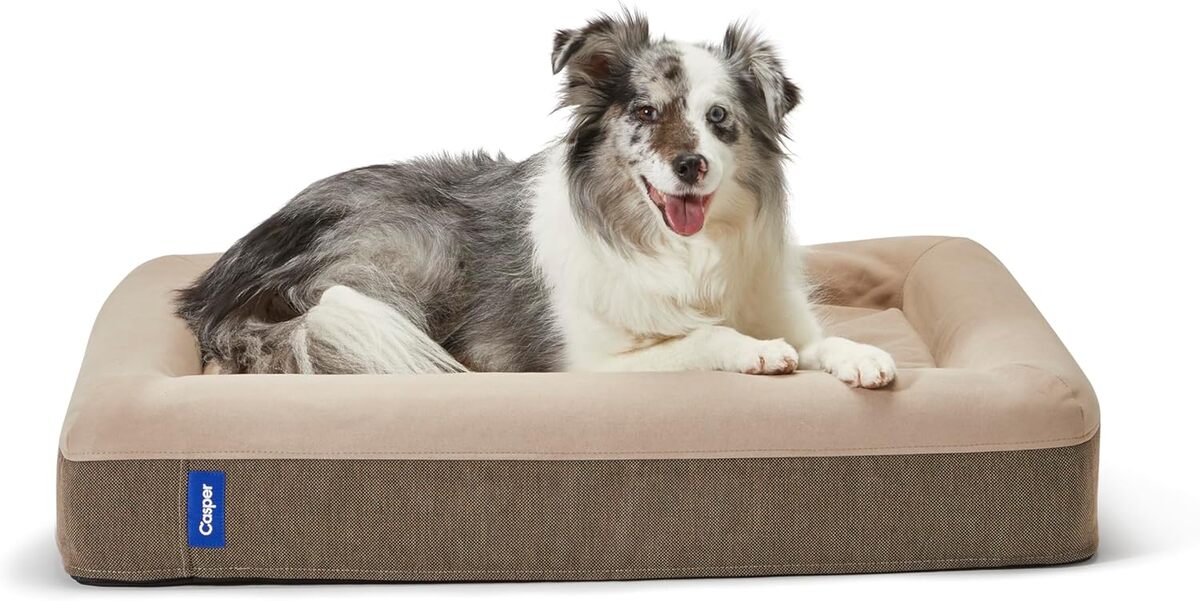 Test du panier pour chien en mousse Casper, taille M
