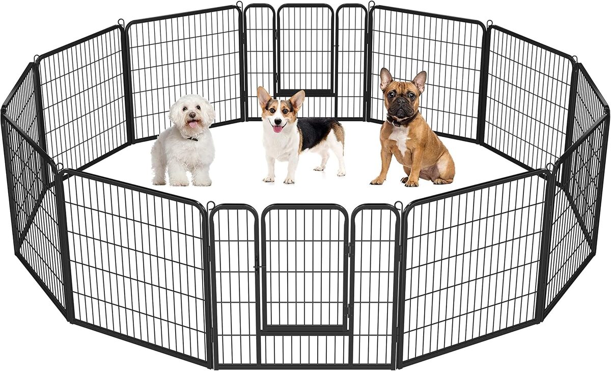 Test du parc pour chien 12 panneaux Yaheetech 80 cm de hauteur
