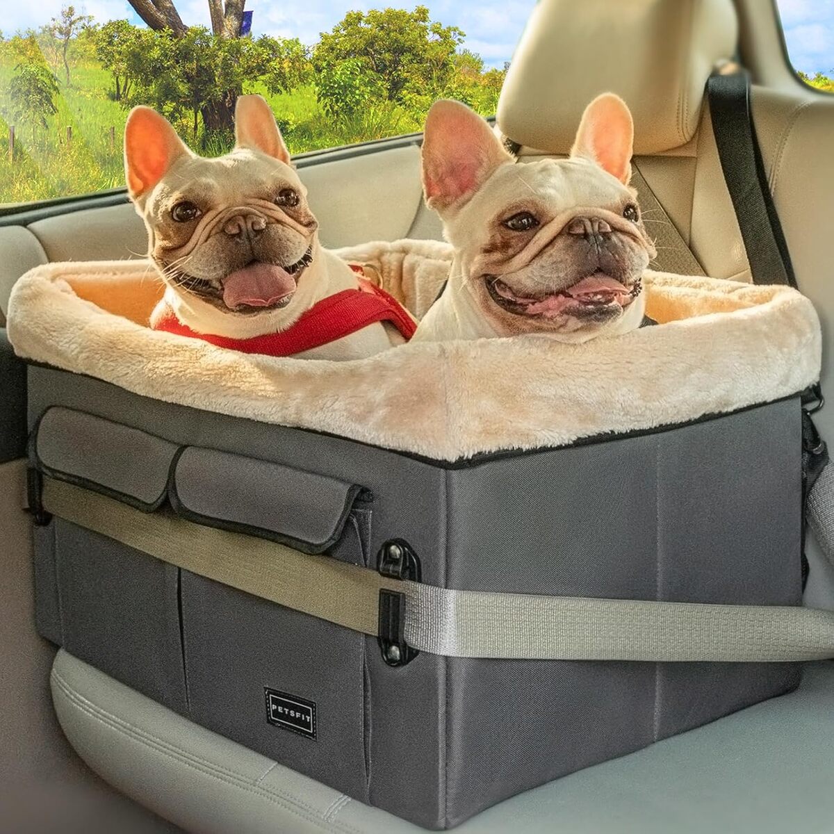 Test du siège de voiture Petsfit pour chiens taille M