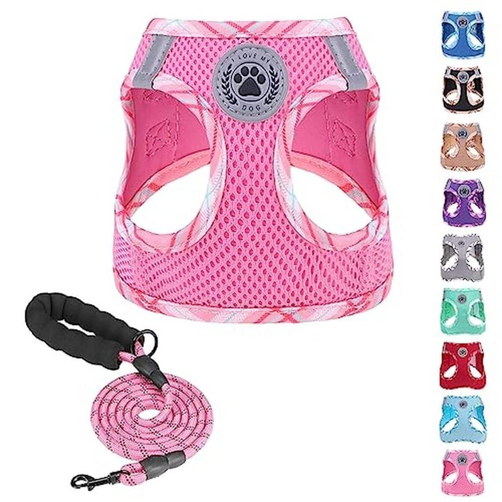 Test : ensemble harnais BEAUTYZOO réglable et réfléchissant pour chiens et chats
