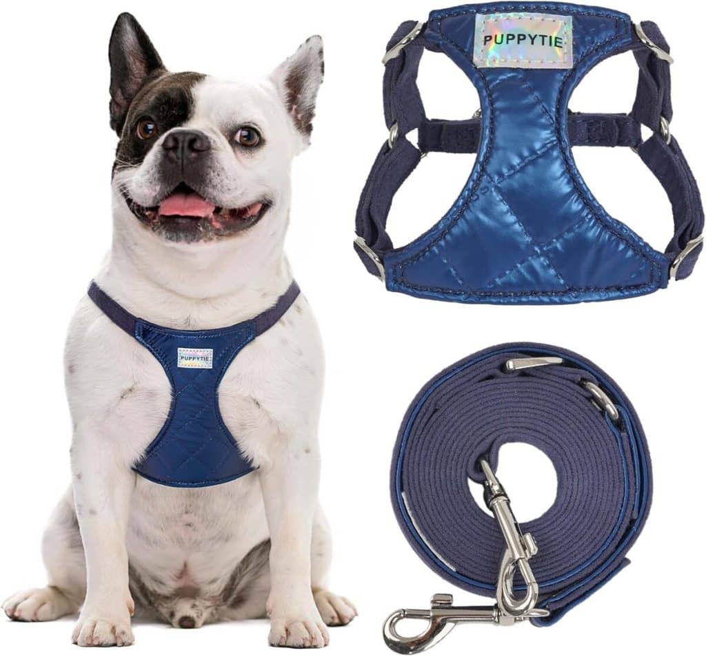 Test : puppytie harnais anti-traction pour chiens tailles moyennes et grandes