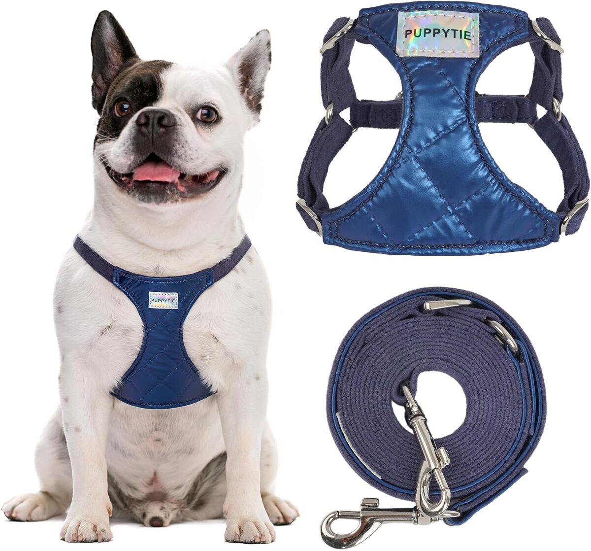 Test : puppytie harnais anti-traction pour chiens tailles moyennes et grandes