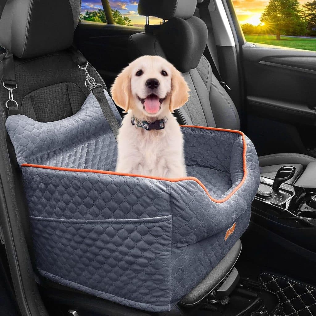 Test : siège d'auto rehausseur en mousse pour petits chiens
