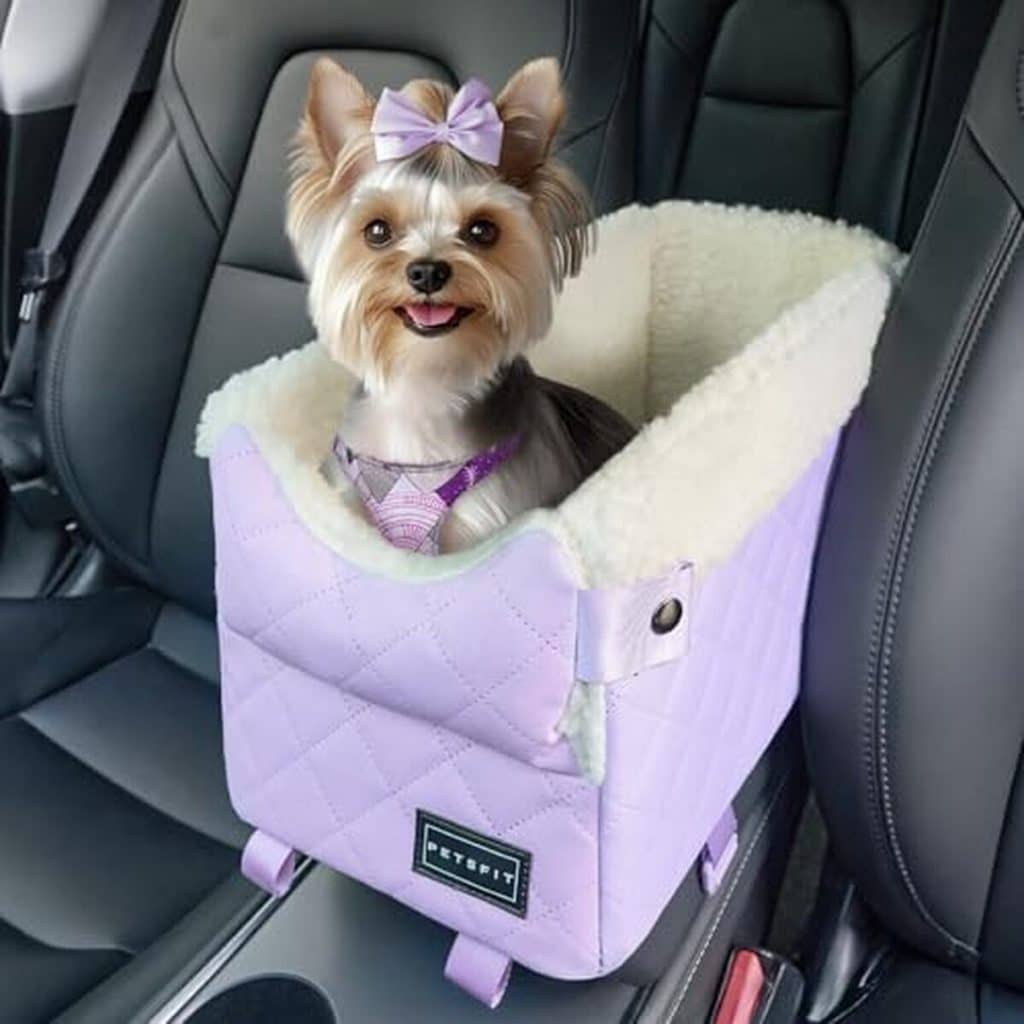 Test : siège de voiture Petsfit pour petits animaux
