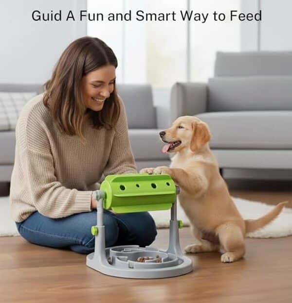 Découvrez le jouet puzzle Ito Rocky et offrez à votre chien ou chat une expérience enrichissante et amusante avec ce jouet interactif innovant.