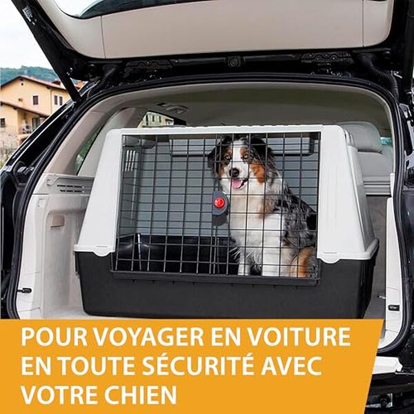 Tout savoir sur le panier auto Atlas Car 100 de Ferplast : avantages, caractéristiques et avis détaillé pour choisir le meilleur transport pour votre animal