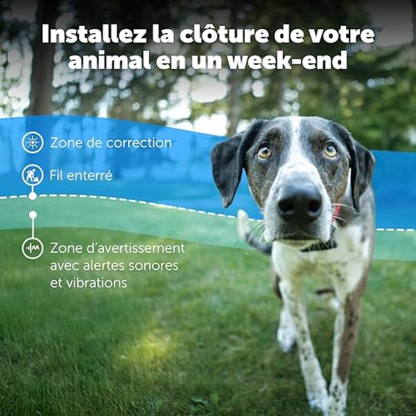 Découvrez notre test complet du système de clôture anti-fugue PetSafe pour grands chiens : efficacité, installation, avantages et inconvénients pour garantir la sécurité de votre animal