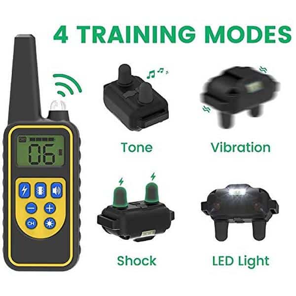 Découvrez notre test complet du collier d'entraînement FunniPets conçu pour les grandes races : efficacité, confort et résultats pour éduquer votre chien facilement.