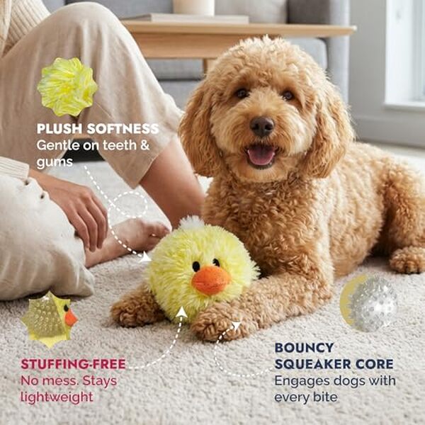 Découvrez notre test du jouet couineur Petlou D.O.G'z EZ pour chien : jouet interactif et durable pour stimuler votre animal et renforcer vos moments de complicité
