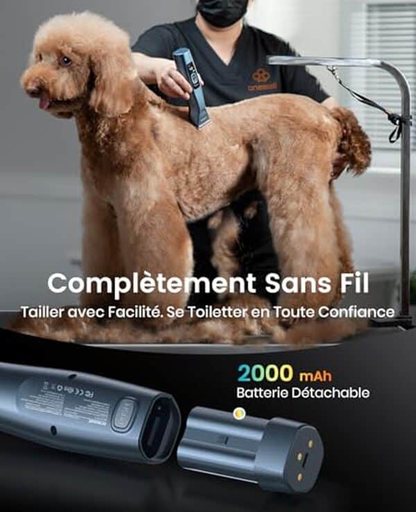 Découvrez notre test de la tondeuse professionnelle Grandmaster Pro 1 de oneisall pour animaux à poils longs : efficacité et praticité au rendez-vous pour le toilettage de vos compagnons à quatre pattes.