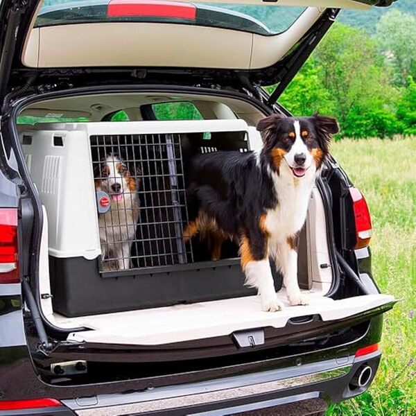 Découvrez notre test du panier pour chien Ferplast Atlas Car Maxi : un produit alliant confort et sécurité pour vos voyages en voiture avec votre animal.
