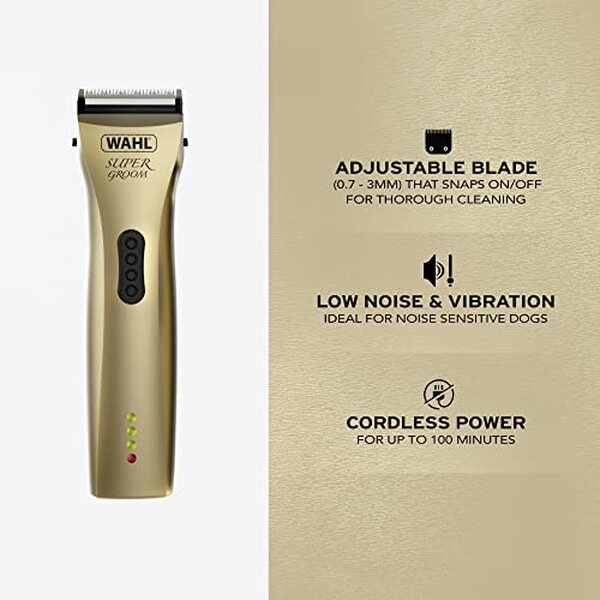 Découvrez notre avis détaillé sur la tondeuse WAHL Supergroom pour chien : une performance impressionnante et un fonctionnement ultra silencieux pour prendre soin de votre compagnon à quatre pattes.