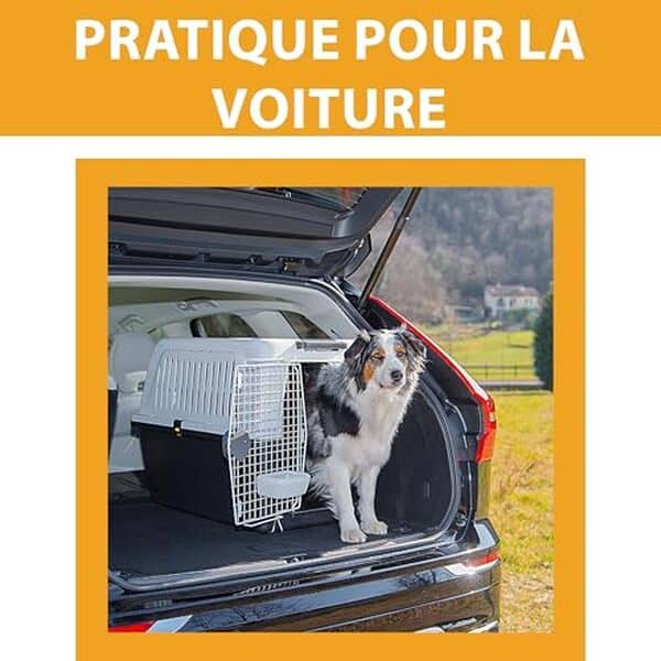 Découvrez notre test du panier de transport Ferplast Atlas 60, une solution idéale pour le confort et la sécurité de votre grand chien lors de vos déplacements.
