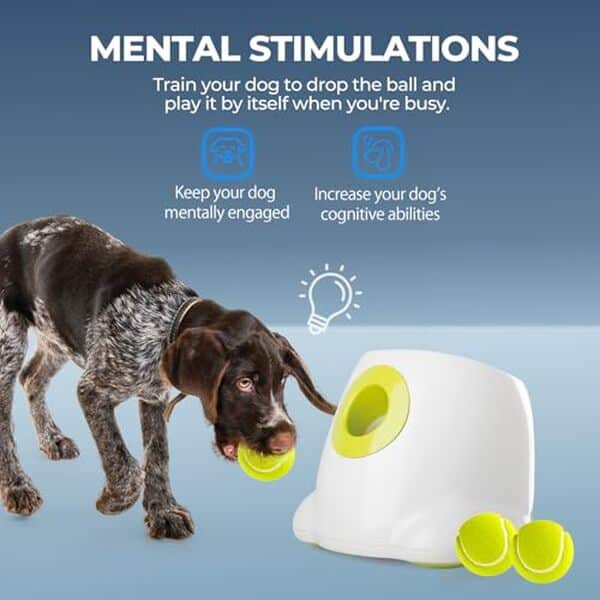 Découvrez notre analyse approfondie du lanceur automatique Hyperfetch : un incontournable pour le bien-être et le divertissement de votre chien proposé par All for Paws