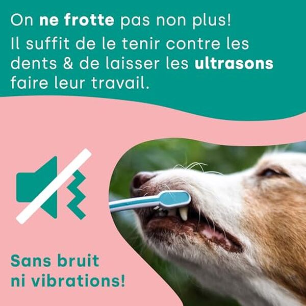 Découvrez notre analyse en profondeur de la brosse à dents ultrasonique emmi-pet PRO : un outil révolutionnaire pour l'hygiène bucco-dentaire de votre chien et chat.
