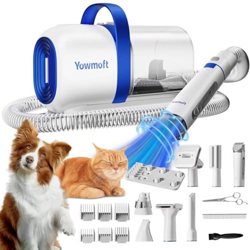 Test : aspirateur pour chien Yowmoft 2 L, 11 kPa et ses 15 outils